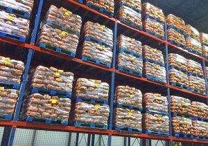 Profitable Food Pallet Liquidation