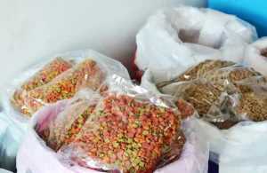 How Do I Liquidate Excess Pet Food and Pet Treat Inventory